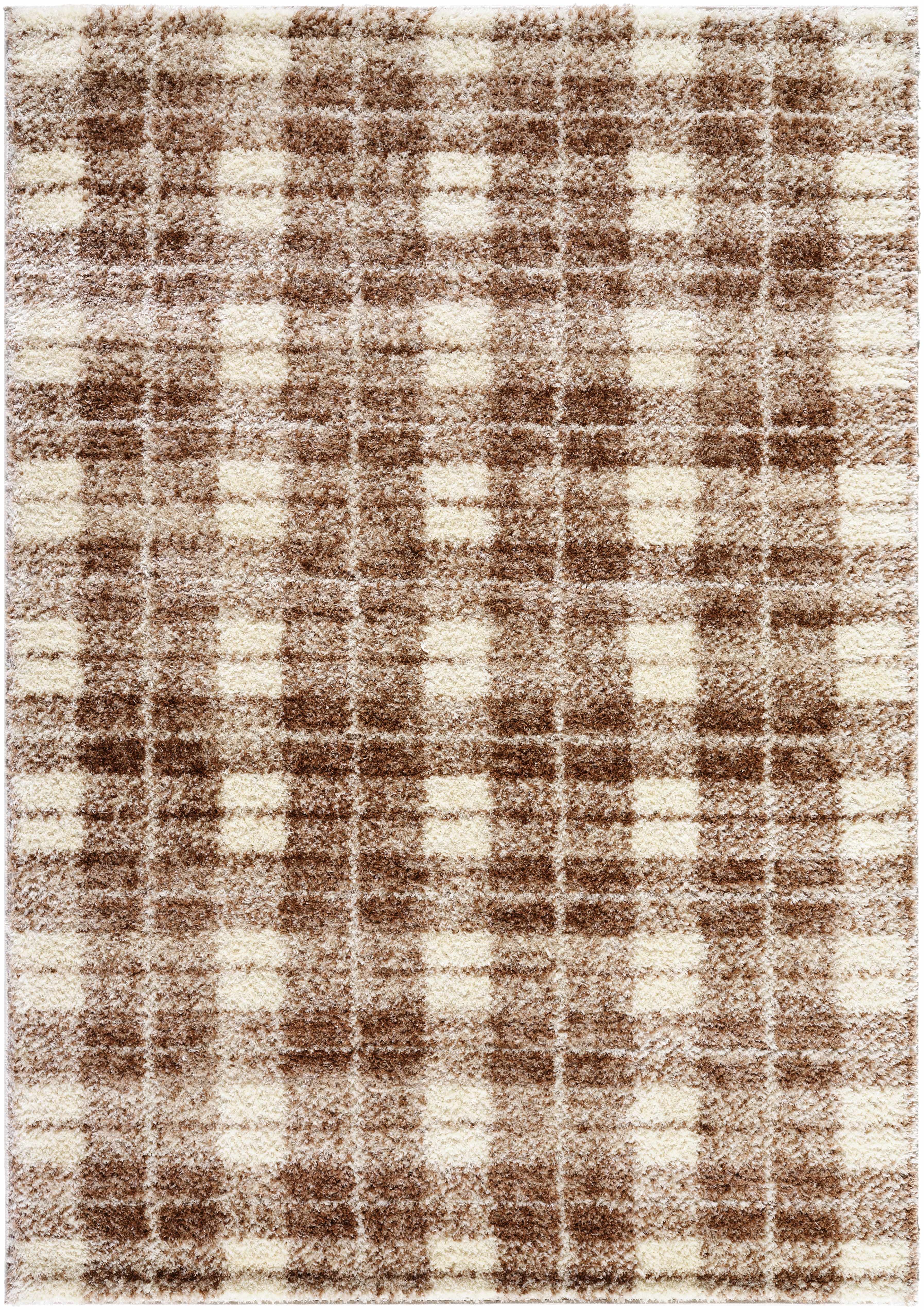 Anfisa Beige Luxe Shag Area Rug