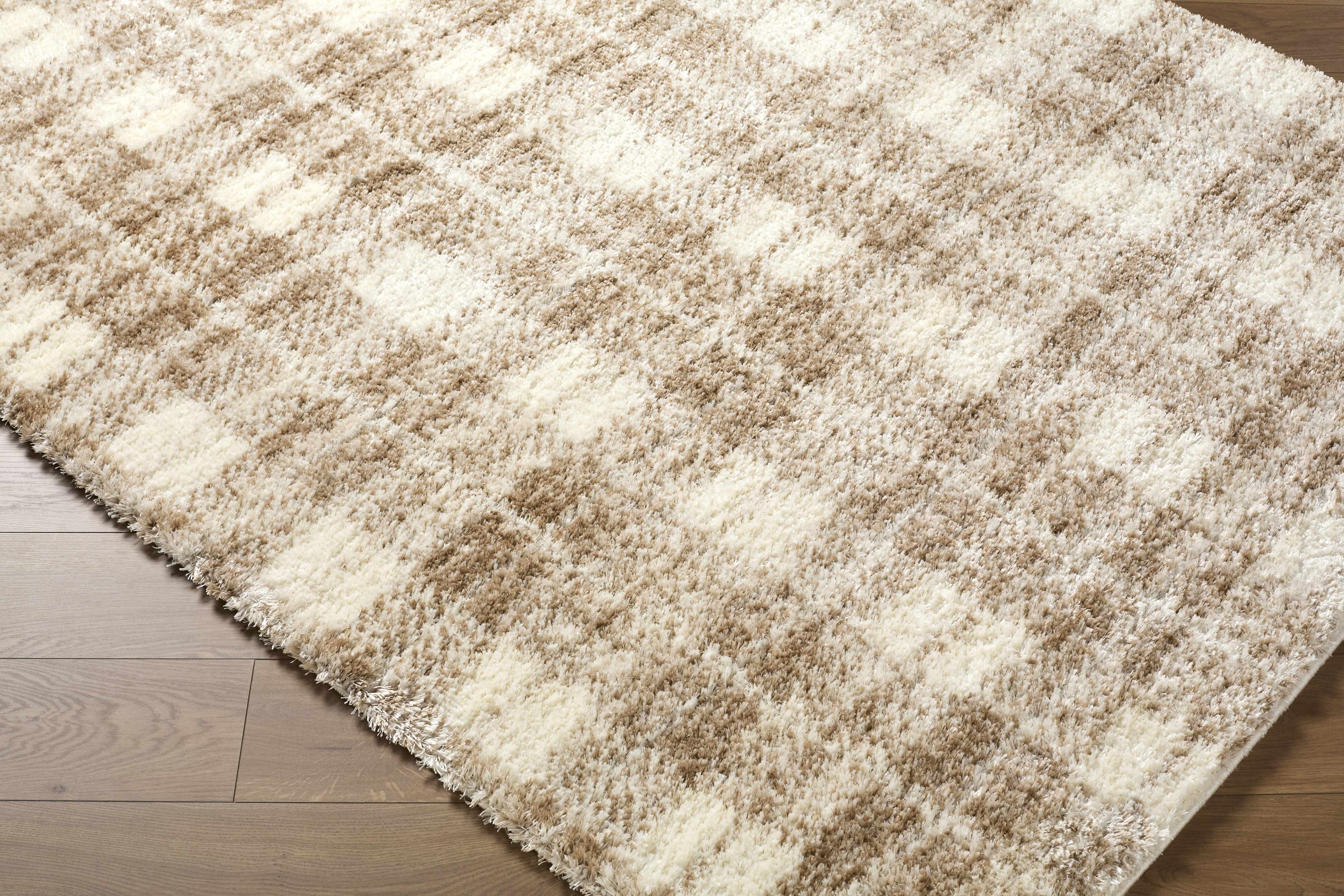 Anfisa Beige Luxe Shag Area Rug