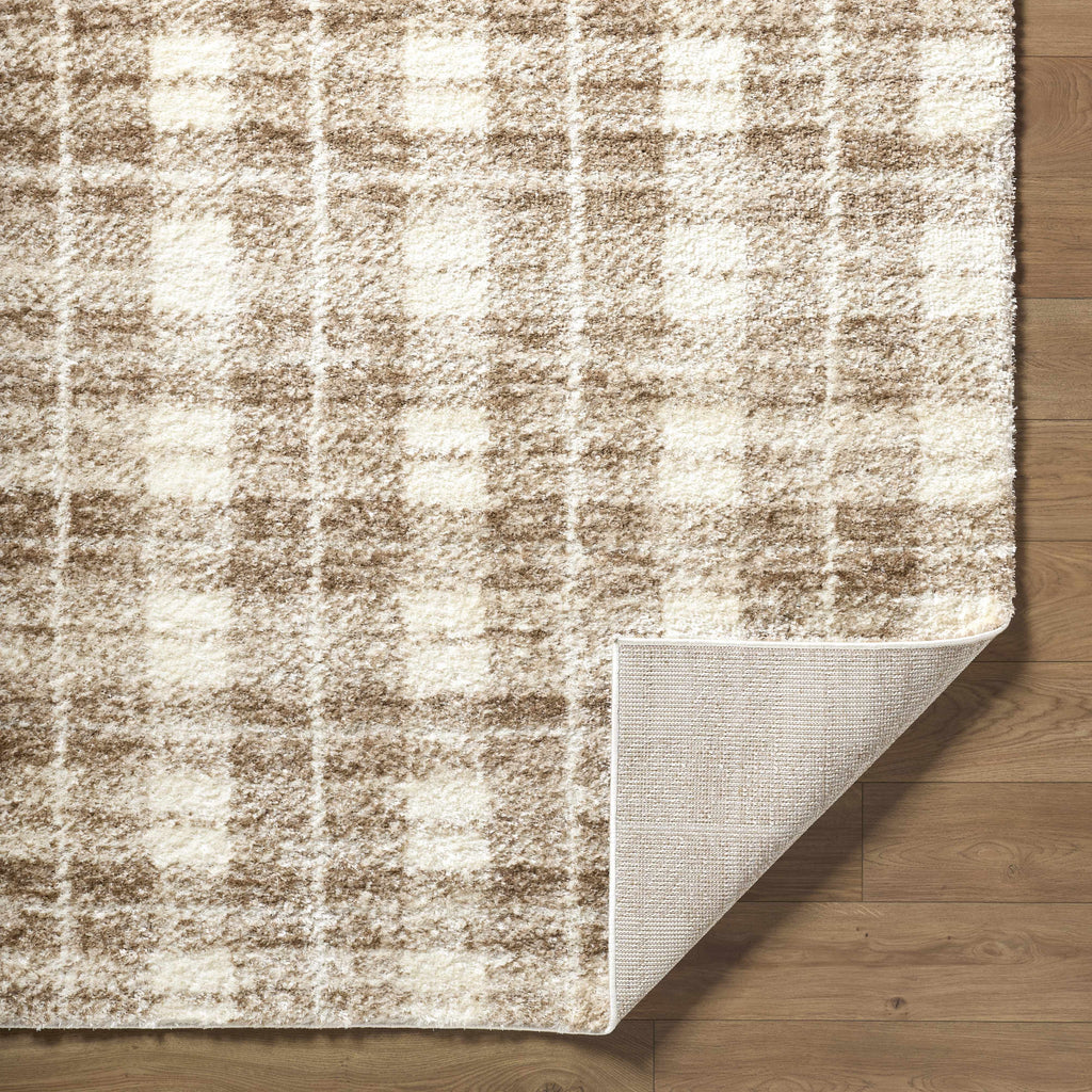 Anfisa Beige Luxe Shag Area Rug