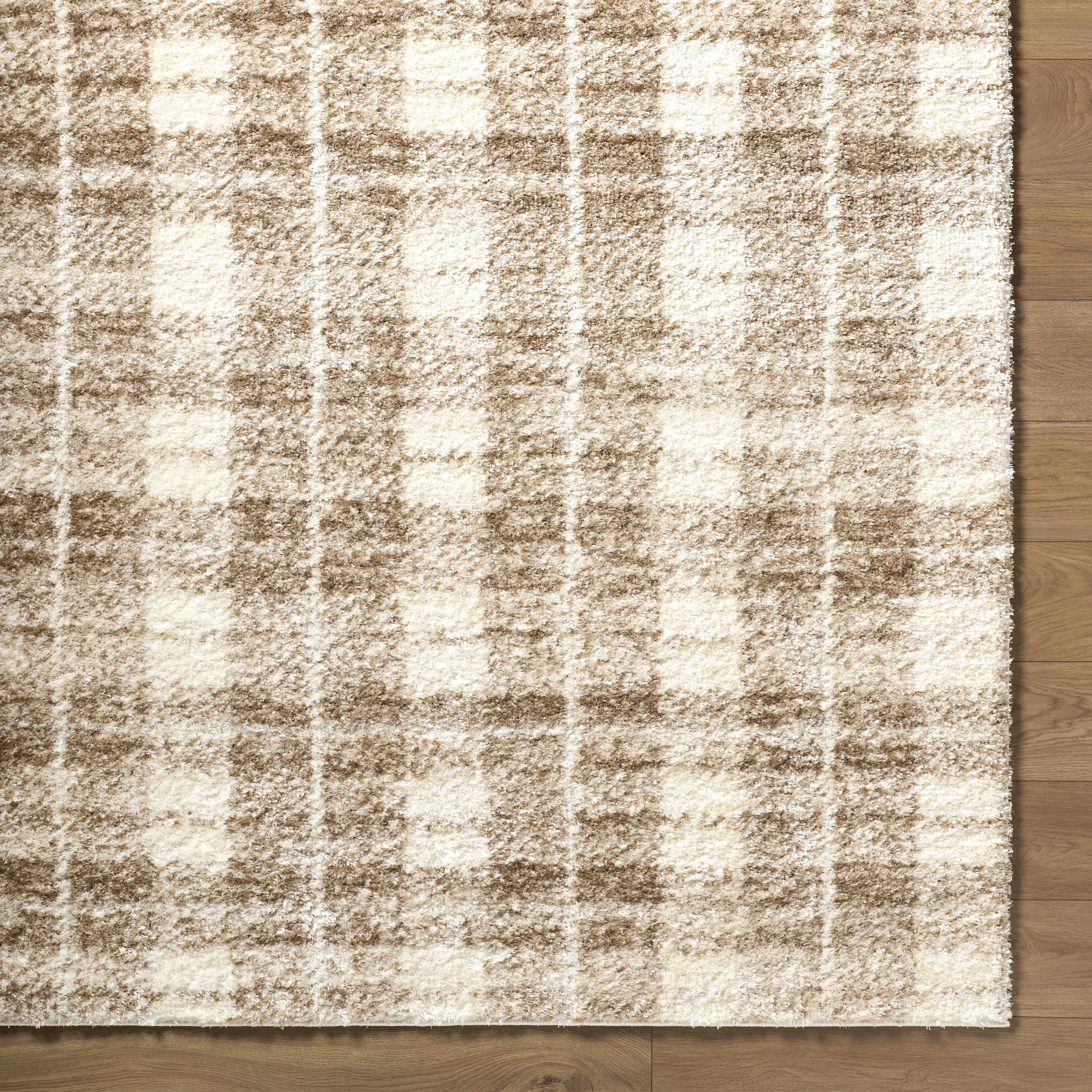 Anfisa Beige Luxe Shag Area Rug