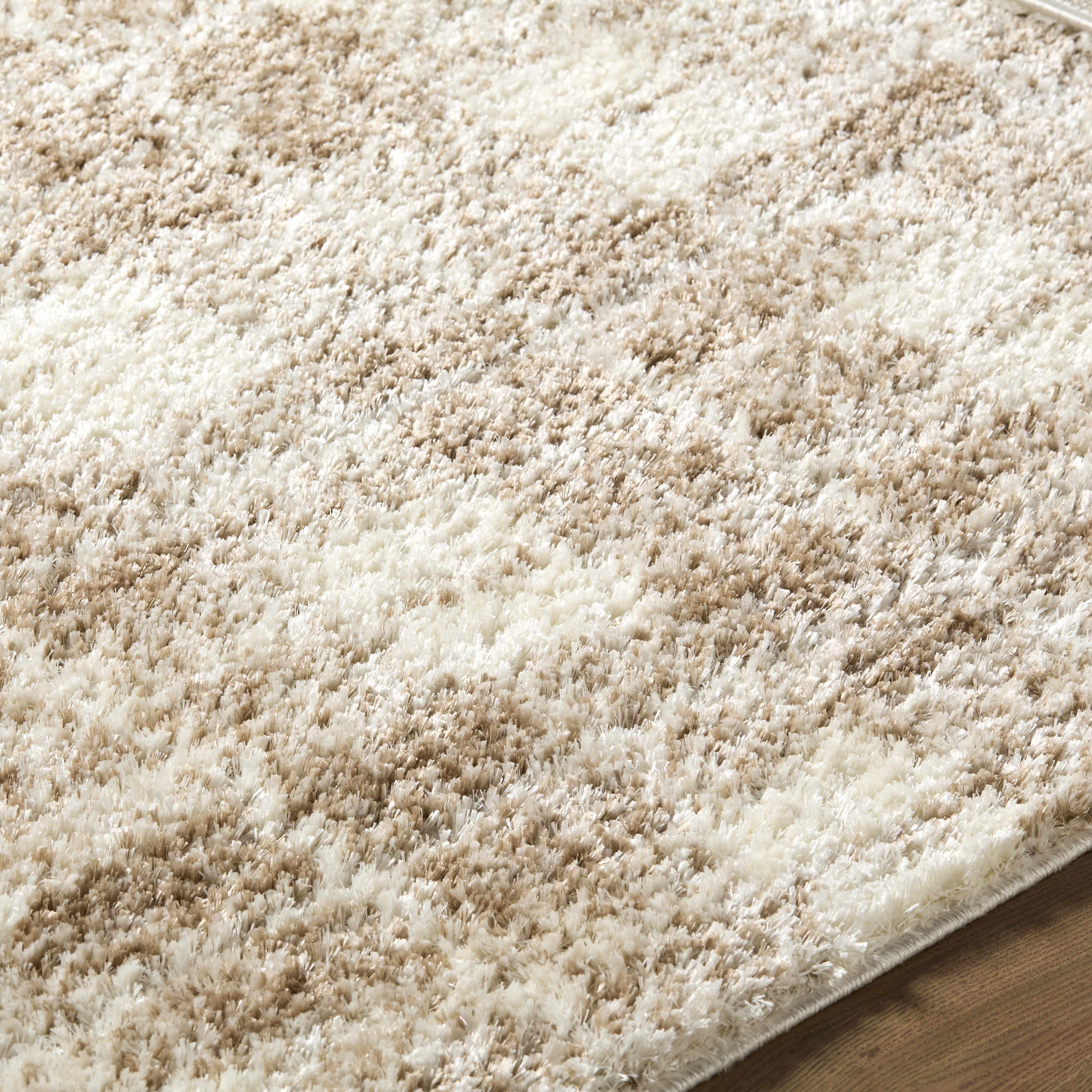 Anfisa Beige Luxe Shag Area Rug